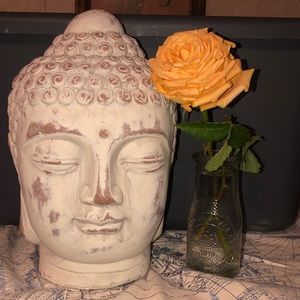 Meet your Posher, Andrew joseph